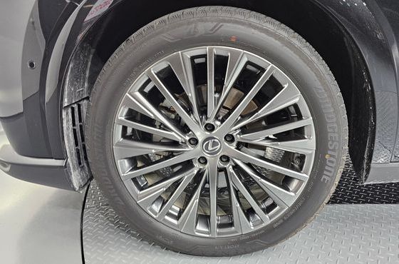 Lexus RX Luxury — пробег 9 038 км — фото 5 из 5