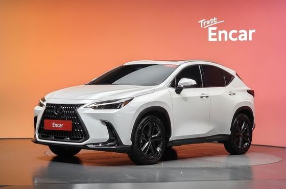 Lexus NX Premium — пробег 10 624 км — фото 1 из 5