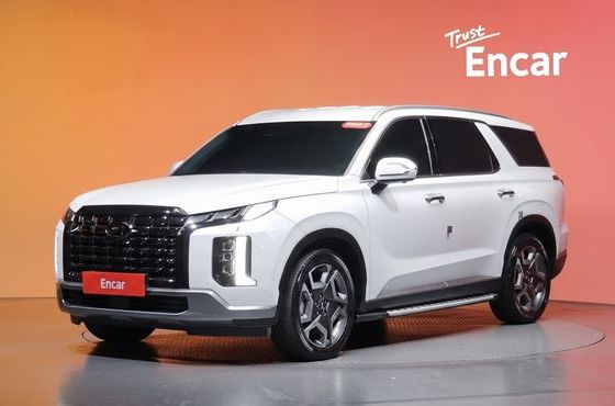 Hyundai Palisade Diesel 2.2 4WD Le Blanc — пробег 44 308 км — фото 1 из 5