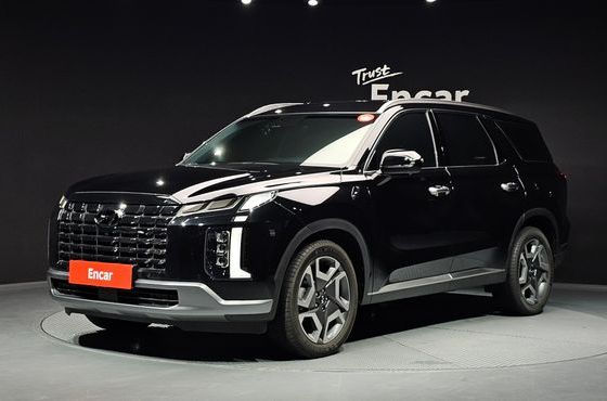 Hyundai Palisade Gasoline 3.8 2WD Le Blanc — пробег 13 360 км — фото 1 из 5