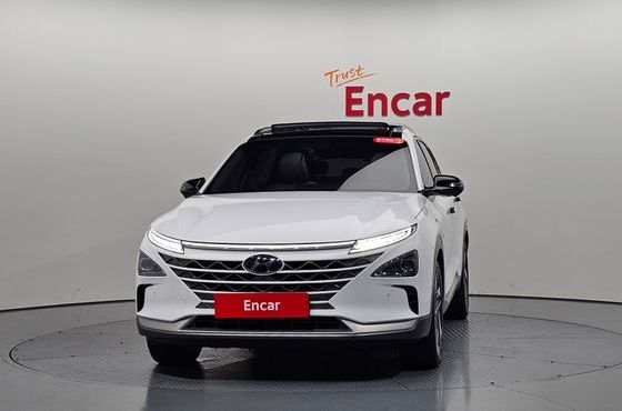 Hyundai Nexo Premium — пробег 112 538 км — фото 3 из 5