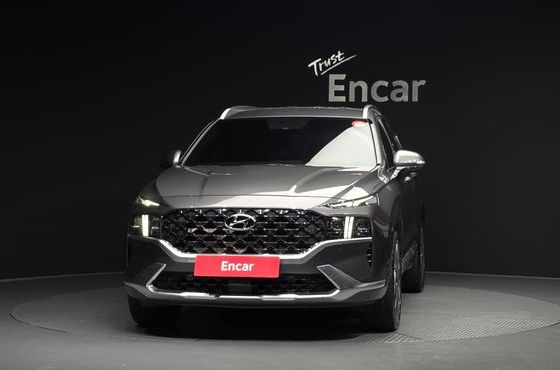 Hyundai Santafe Diesel 2.2 4WD Calligraphy — пробег 162 131 км — фото 3 из 5
