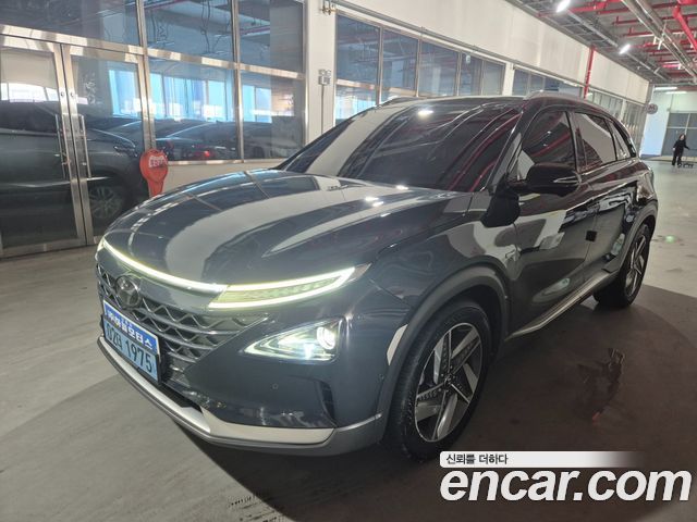 Hyundai Nexo Premium — пробег 122 752 км — фото 1 из 5