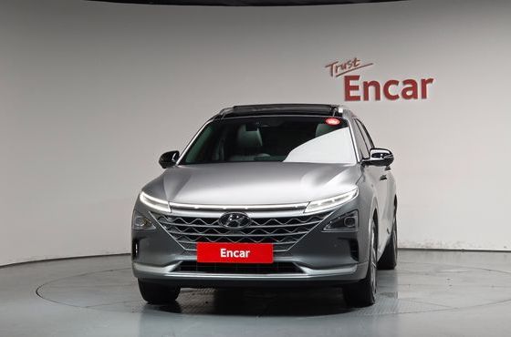 Hyundai Nexo Premium — пробег 30 353 км — фото 3 из 5