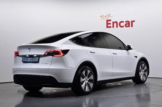 Tesla Model Y Long Range AWD — пробег 168 766 км — фото 2 из 5