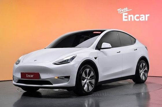 Tesla Model Y Long Range AWD — пробег 168 766 км — фото 1 из 5