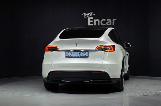 Tesla Model Y Long Range AWD — пробег 116 825 км — фото 4 из 5