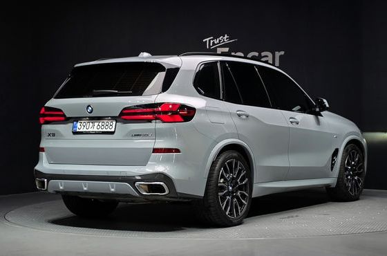 BMW X5 xDrive 30d M Sport — пробег 8 141 км — фото 2 из 5