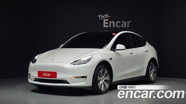 Tesla Model Y Long Range AWD — пробег 81 638 км — фото 1 из 5