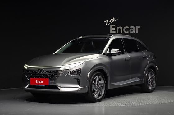 Hyundai Nexo Premium — пробег 134 049 км — фото 1 из 5