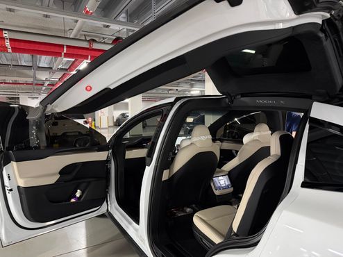 Tesla Model X Long Range — пробег 74 217 км — фото 4 из 5