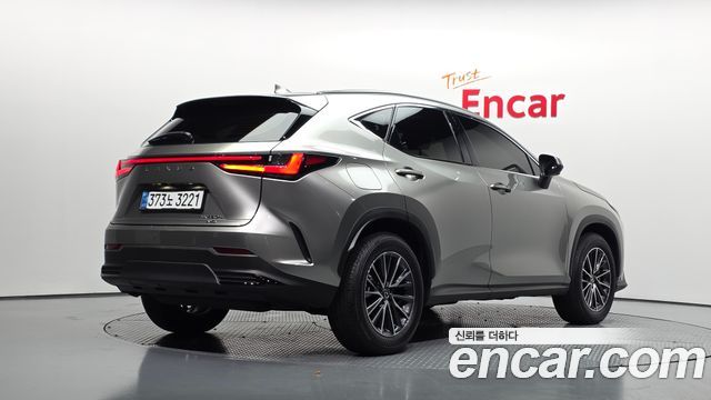 Lexus NX Premium — пробег 17 488 км — фото 2 из 5