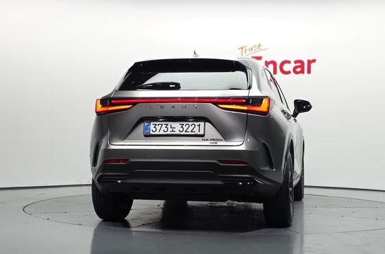 Lexus NX Premium — пробег 17 488 км — фото 4 из 5