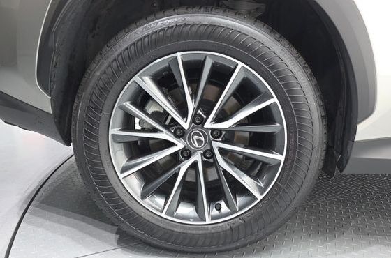 Lexus NX Premium — пробег 17 488 км — фото 5 из 5