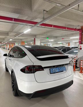 Tesla Model X AWD — пробег 57 500 км — фото 4 из 5