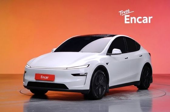 Tesla Model Y Long Range AWD — пробег 24 079 км — фото 1 из 5