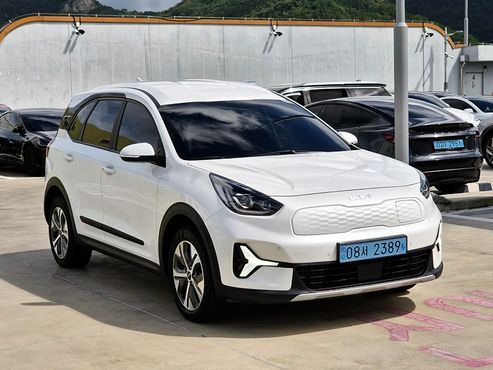 Kia Niro Earth — пробег 110 333 км — фото 1 из 5