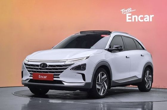Hyundai Nexo Premium — пробег 41 149 км — фото 1 из 5