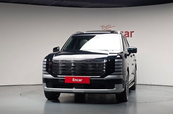 Hyundai Palisade Gasoline 2.5T 2WD 9-Seater Calligraphy — пробег 17 127 км — фото 3 из 5