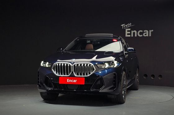 BMW X6 xDrive40i M Sport — пробег 8 905 км — фото 3 из 5