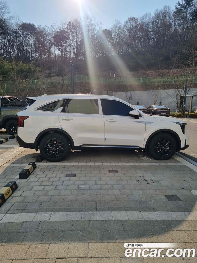 Kia Sorento HEV 1.6 2WD Noblesse — пробег 8 125 км — фото 4 из 5