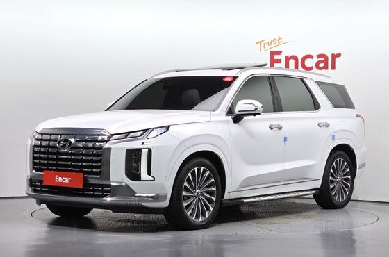 Hyundai Palisade Diesel 2.2 4WD Calligraphy — пробег 54 861 км — фото 1 из 5