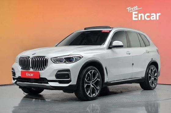 BMW X5 xDrive 40i xLine — пробег 69 513 км — фото 1 из 5