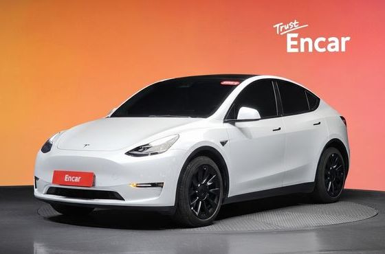 Tesla Model Y Long Range AWD — пробег 70 706 км — фото 1 из 5