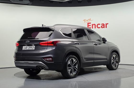 Hyundai Santafe Diesel 2.0 2WD Exclusive — пробег 202 658 км — фото 2 из 5