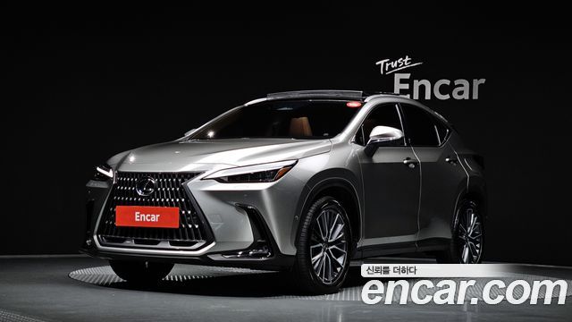 Lexus NX Luxury — пробег 23 857 км — фото 1 из 5