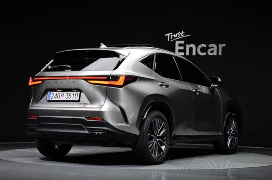 Lexus NX Luxury — пробег 23 857 км — фото 2 из 5