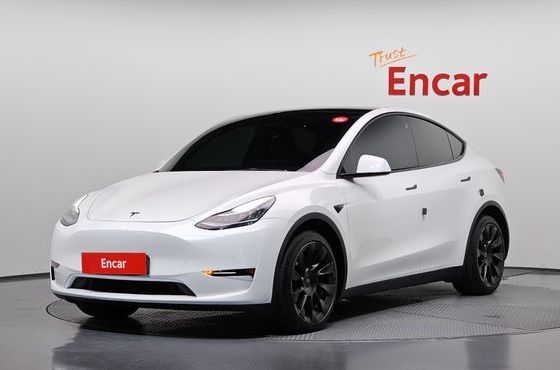Tesla Model Y Long Range AWD — пробег 99 106 км — фото 1 из 5