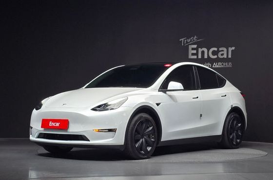 Tesla Model Y Long Range AWD — пробег 53 914 км — фото 1 из 5
