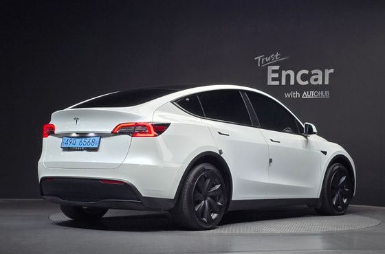 Tesla Model Y Long Range AWD — пробег 53 914 км — фото 2 из 5