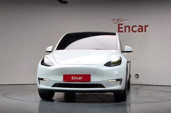 Tesla Model Y Standard Range RWD — пробег 96 251 км — фото 3 из 5