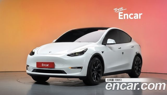 Tesla Model Y Standard Range RWD — пробег 96 251 км — фото 1 из 5