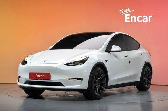 Tesla Model Y Standard Range RWD — пробег 96 251 км — фото 1 из 5