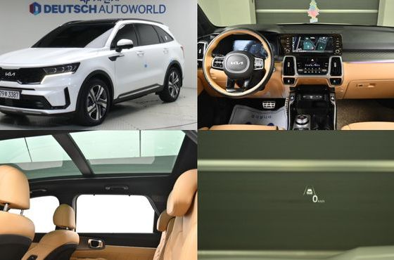 Kia Sorento HEV 1.6 2WD Gravity — пробег 67 501 км — фото 1 из 5