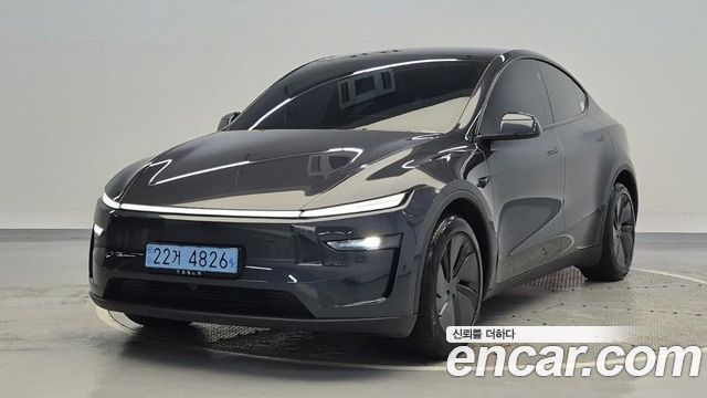 Tesla Model Y Premium Long Range AWD — пробег 17 105 км — фото 1 из 5