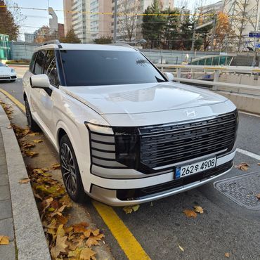 Hyundai Palisade HEV 2.5T 4WD 7-Seater Calligraphy — пробег 16 800 км — фото 3 из 5