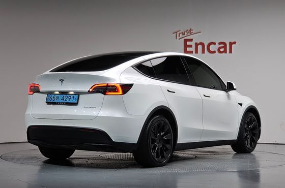 Tesla Model Y Long Range AWD — пробег 61 185 км — фото 2 из 5