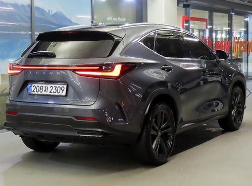 Lexus NX Premium — пробег 23 890 км — фото 4 из 5