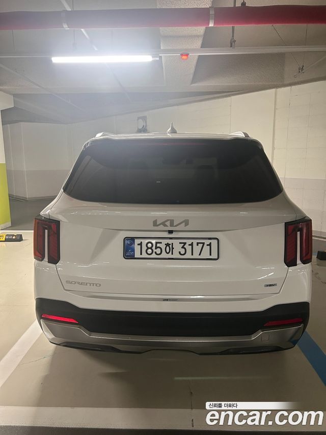 Kia Sorento HEV 1.6 2WD Noblesse — пробег 10 км — фото 4 из 5
