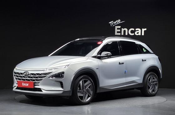 Hyundai Nexo Premium — пробег 38 677 км — фото 1 из 5