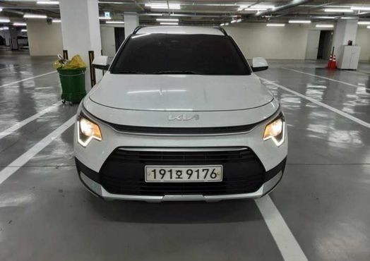 Kia Niro Trendy — пробег 162 869 км — фото 1 из 5
