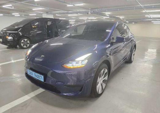 Tesla Model Y RWD — пробег 42 783 км — фото 2 из 5
