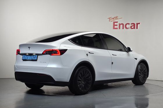 Tesla Model Y Long Range AWD — пробег 35 239 км — фото 2 из 5