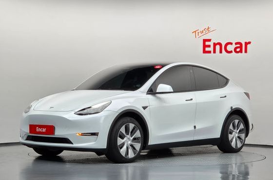 Tesla Model Y Long Range AWD — пробег 126 955 км — фото 1 из 5