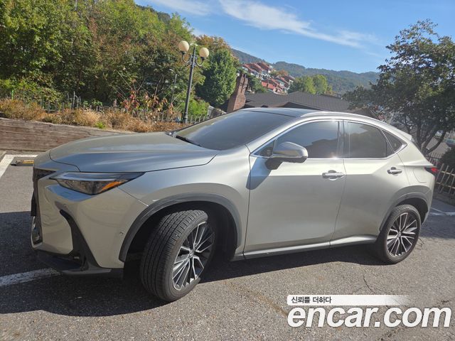 Lexus NX Luxury — пробег 15 780 км — фото 1 из 5