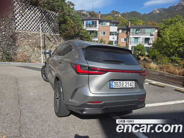 Lexus NX Luxury — пробег 15 780 км — фото 2 из 5